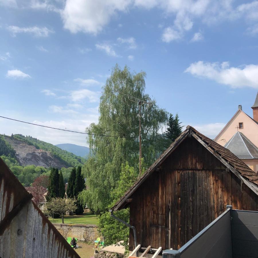 Muhlbach-sur-Munster Appartement Vintage A L Ancienne Forge מראה חיצוני תמונה