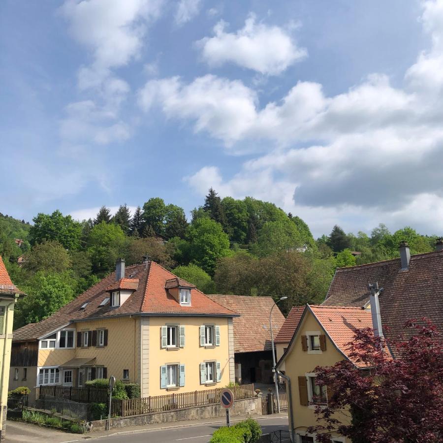 Muhlbach-sur-Munster Appartement Vintage A L Ancienne Forge מראה חיצוני תמונה