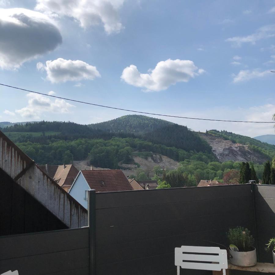 Muhlbach-sur-Munster Appartement Vintage A L Ancienne Forge מראה חיצוני תמונה