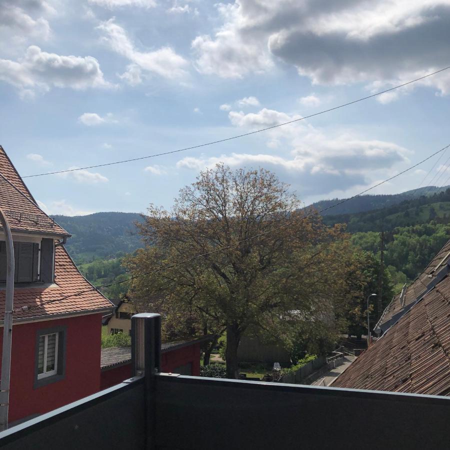 Muhlbach-sur-Munster Appartement Vintage A L Ancienne Forge מראה חיצוני תמונה